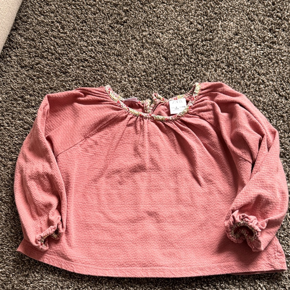 Pink Zara Long Sleeve Top 5T